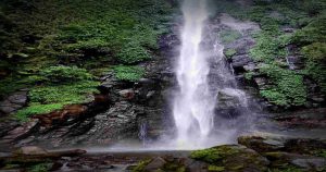 16 Air Terjun di Jember yang Menawarkan Keindahan Alam dan Petualangan Seru